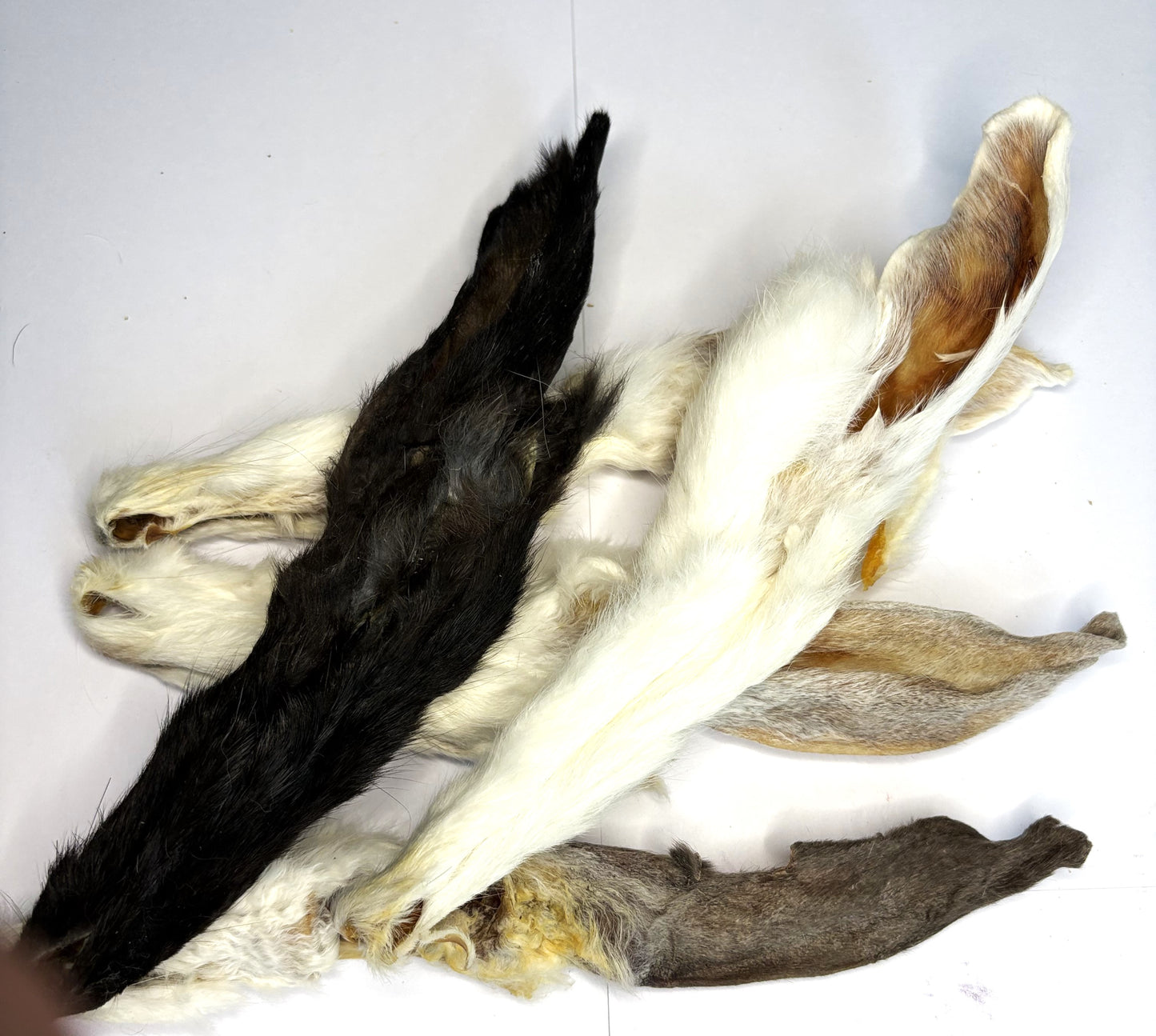 Knabberbar: Kaninchenohren