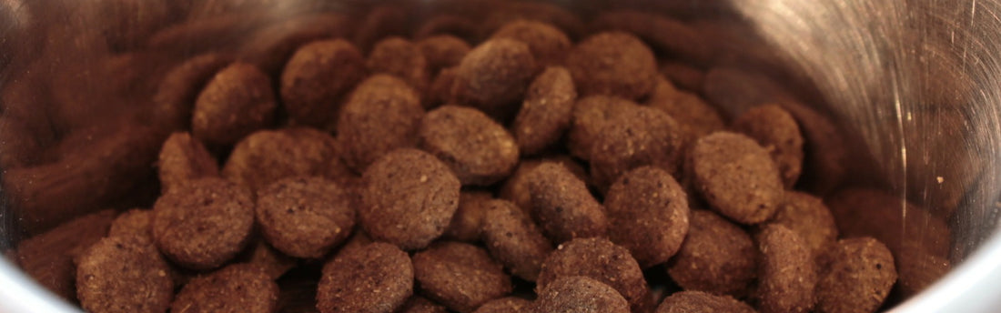 Gesundes Trockenfutter für Hunde