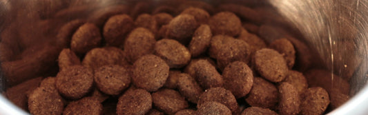 Gesundes Trockenfutter für Hunde