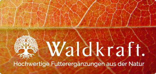 Waldkraft