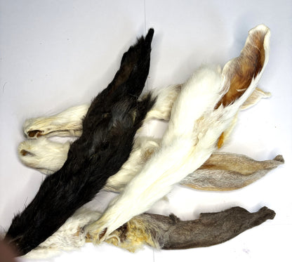 Knabberbar: Kaninchenohren