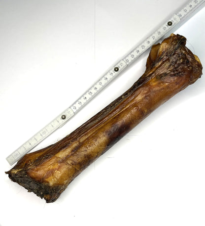 Knabberbar: Pferdeunterbein