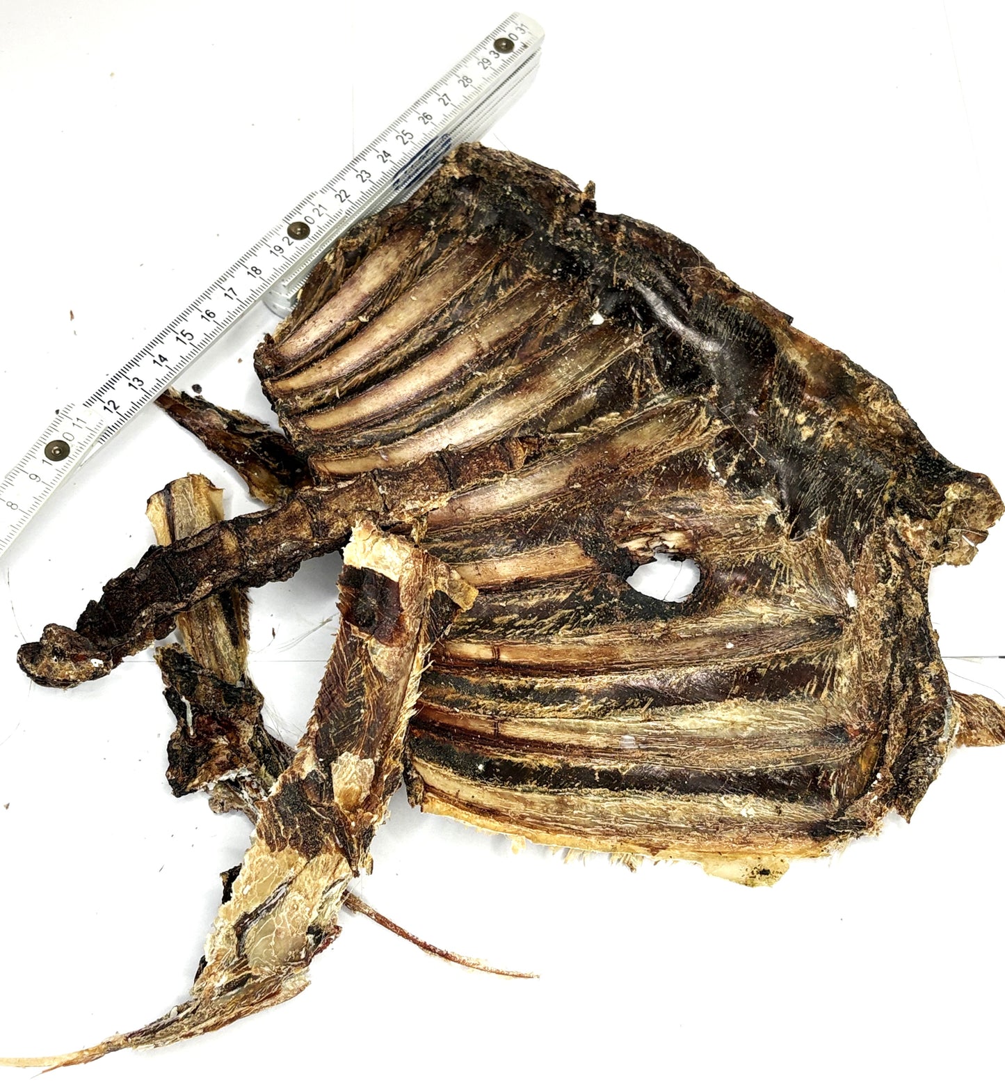 Knabberbar: Rehrippe