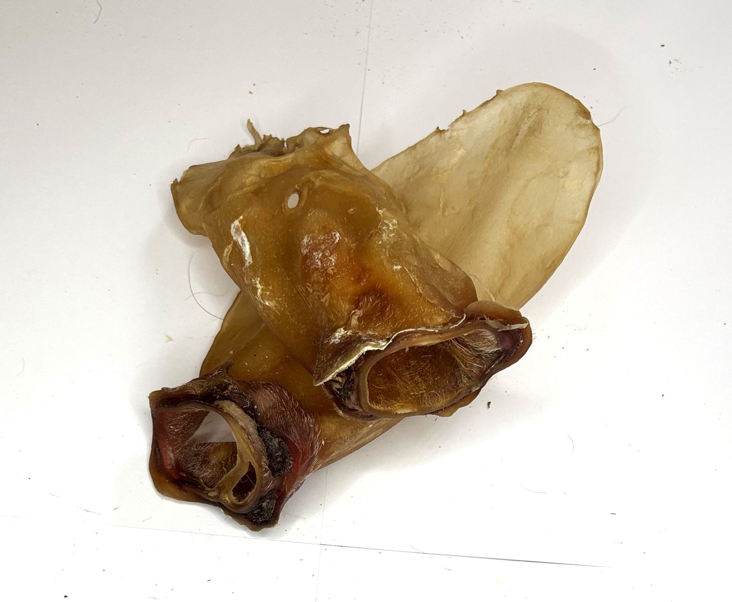 Knabberbar: Rinderohren OHNE Muschel und Fell