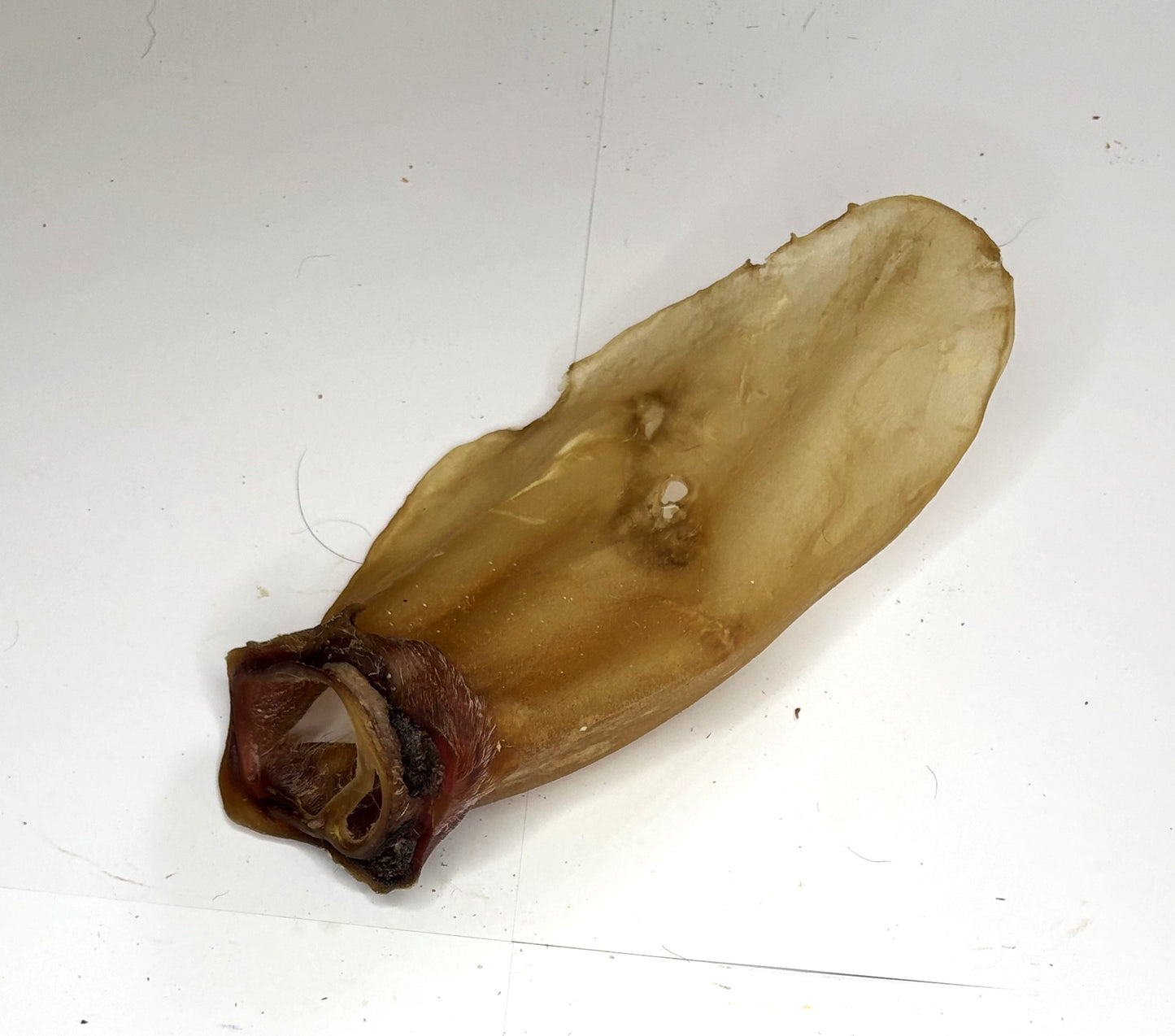 Knabberbar: Rinderohren OHNE Muschel und Fell