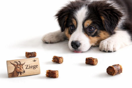 Knabberbar: Ziege Softwürfel