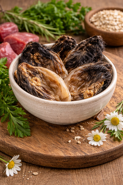 Knabberbar: Rinderohren mit Muschel und Fell