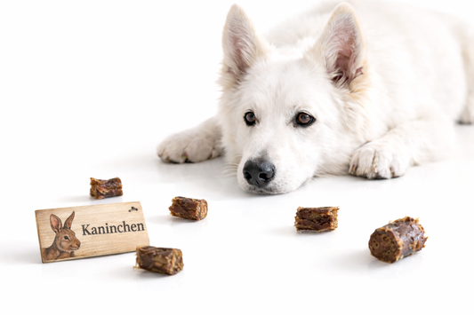Knabberbar: Kaninchen Softwürfel
