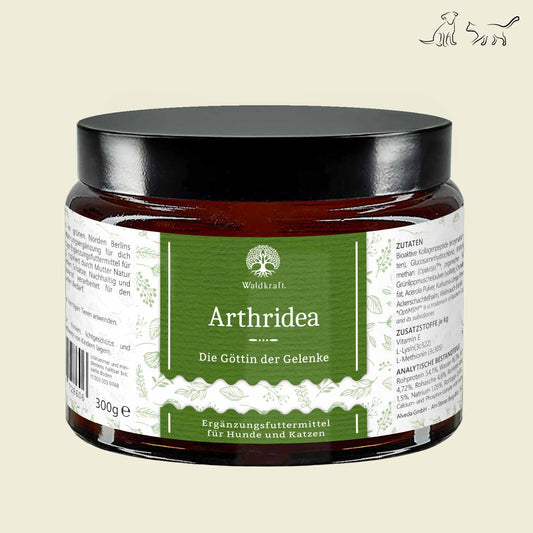 Waldkraft - Arthridea