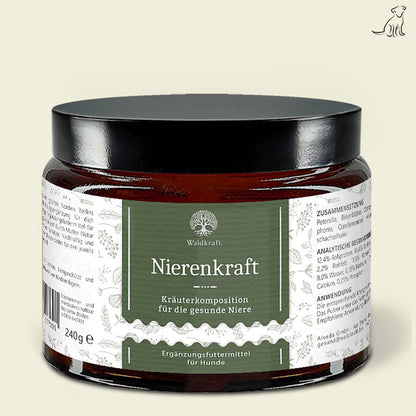 Waldkraft - Nierenkraft