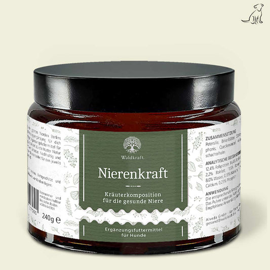 Waldkraft - Nierenkraft