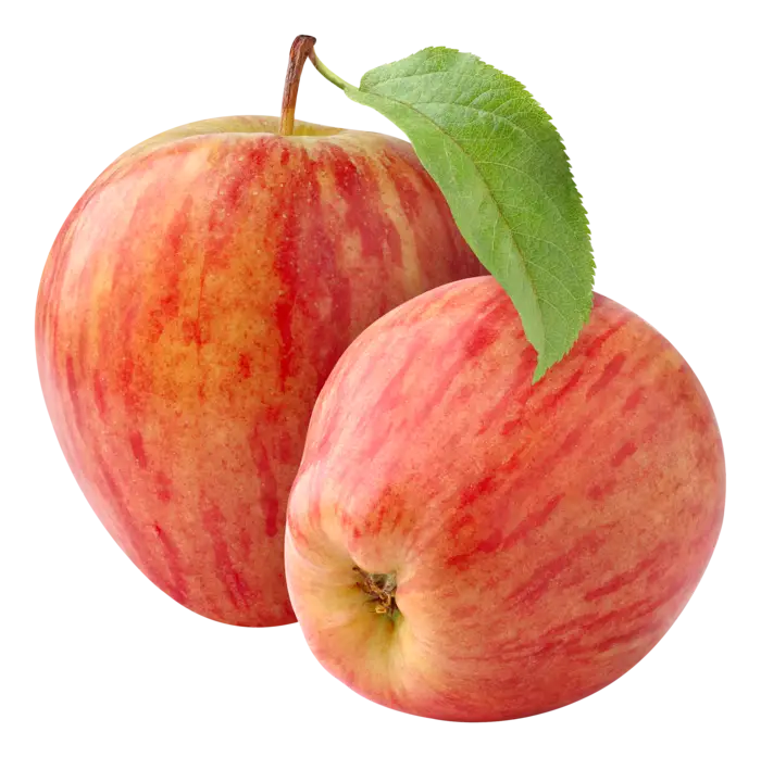 PerNaturam - Garon forte