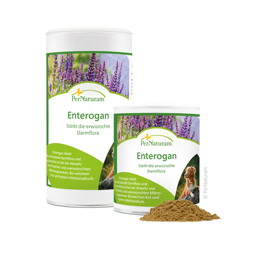 PerNaturam - Enterogan 100g