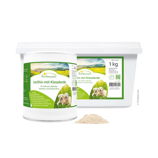 PerNaturam - Lecitin mit Kieselerde 500g
