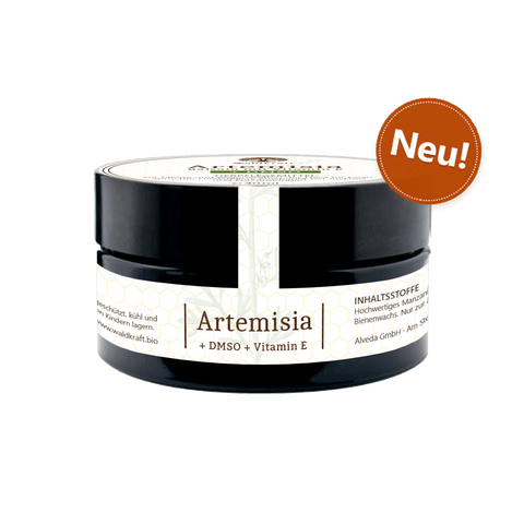 Artemisia Annua Balsam-Beifuß-Salbe mit DMSO, Vitamin E, Bienenwachs, Manzanilla-Öl